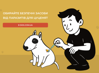 Здоров