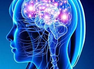 Неврологія