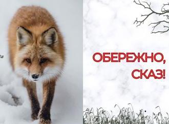 Інфекційні хвороби